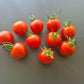 Amy´s Sugar Gem DER TOMATENFLÜSTERER