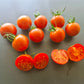 Amy´s Sugar Gem DER TOMATENFLÜSTERER