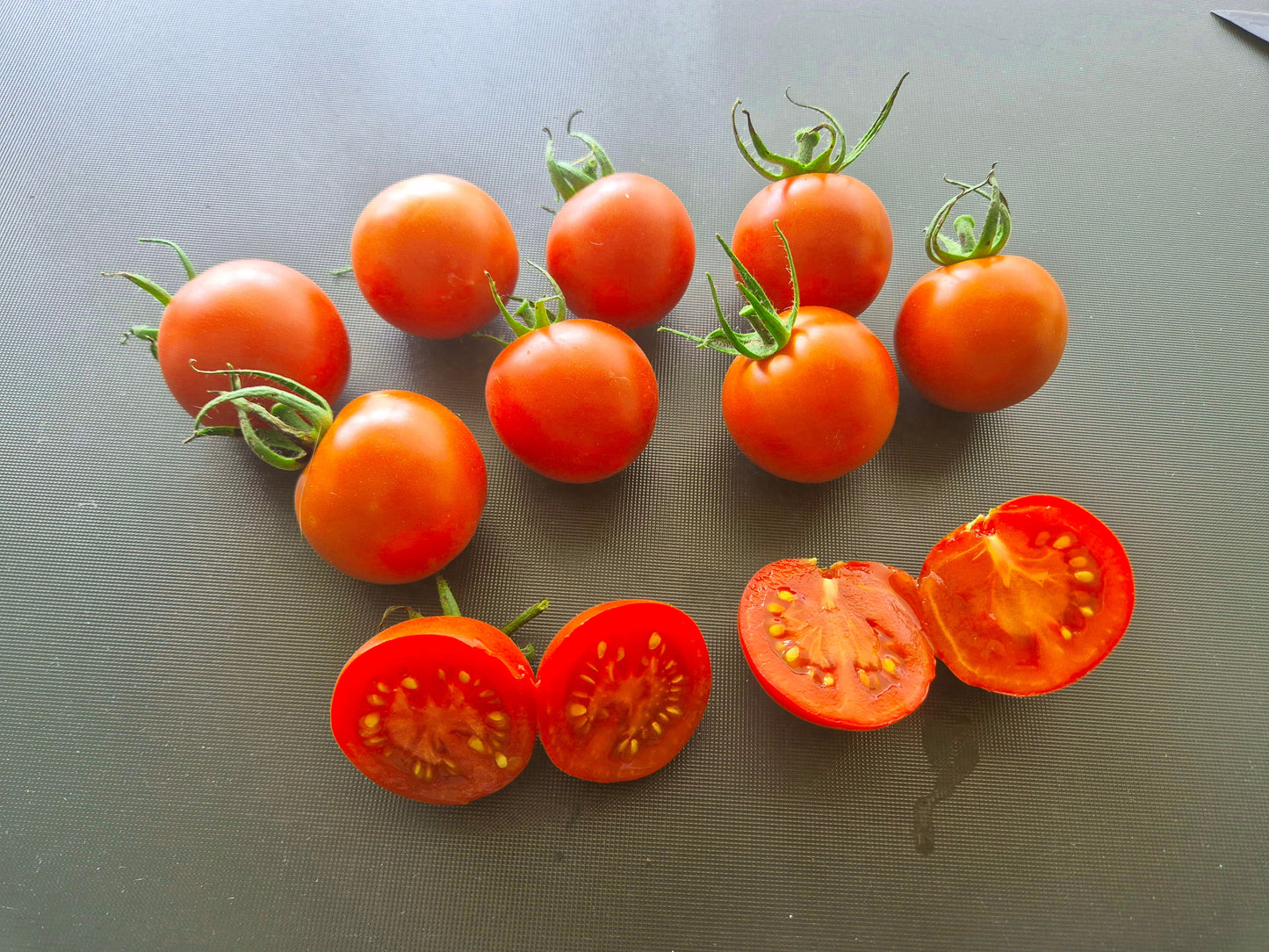 Amy´s Sugar Gem DER TOMATENFLÜSTERER