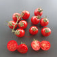 Amy´s Sugar Gem DER TOMATENFLÜSTERER