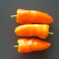 Anaheim Orange DER TOMATENFLÜSTERER
