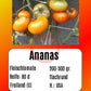 Ananas DER TOMATENFLÜSTERER