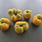 Ananas Noire DER TOMATENFLÜSTERER