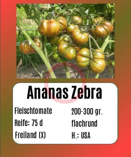 Ananas Zebra DER TOMATENFLÜSTERER