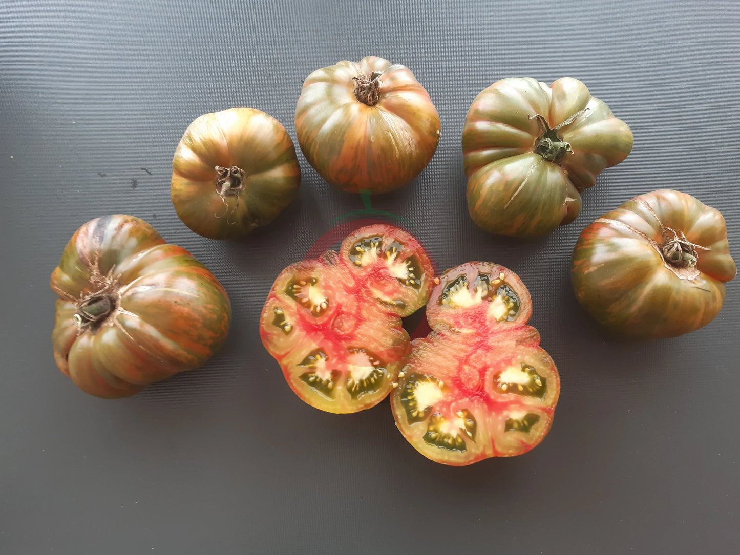 Ananas Zebra DER TOMATENFLÜSTERER