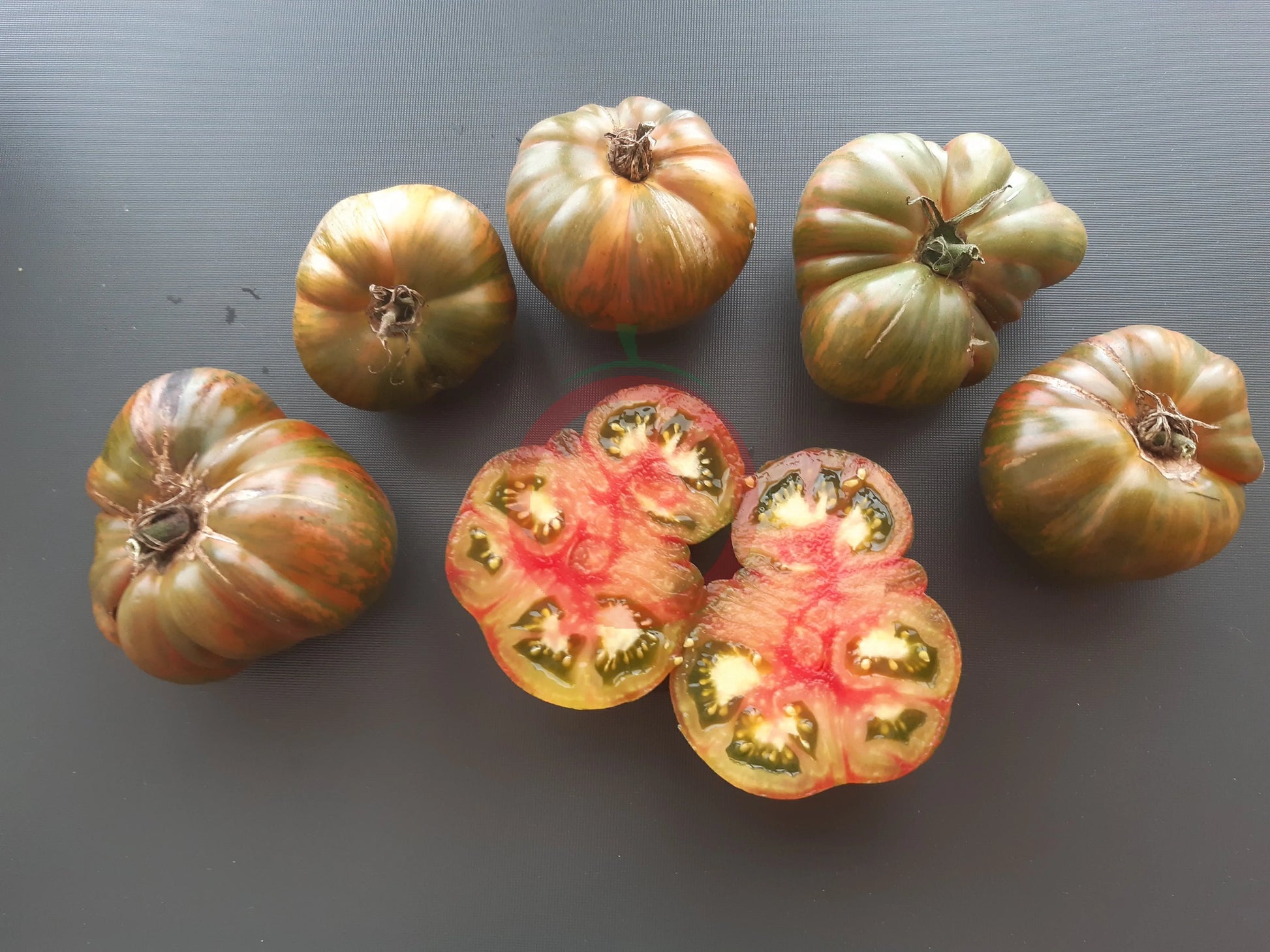 Ananas Zebra DER TOMATENFLÜSTERER
