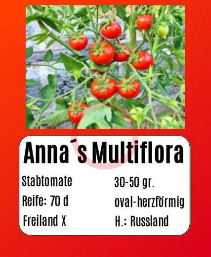 Anna´s Multiflora DER TOMATENFLÜSTERER