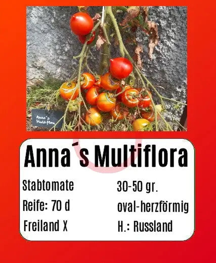 Anna´s Multiflora DER TOMATENFLÜSTERER