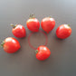 Anna´s Multiflora DER TOMATENFLÜSTERER