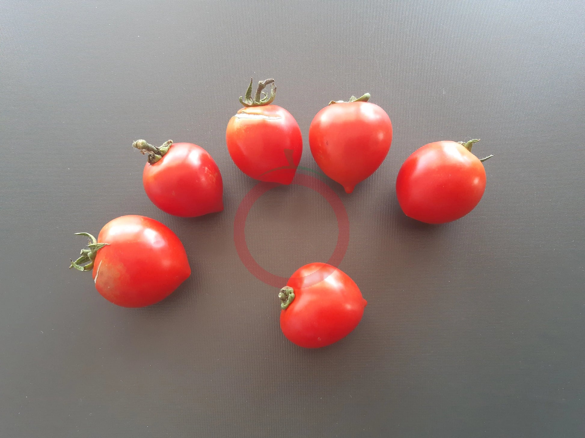Anna´s Multiflora DER TOMATENFLÜSTERER