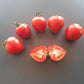 Anna´s Multiflora DER TOMATENFLÜSTERER