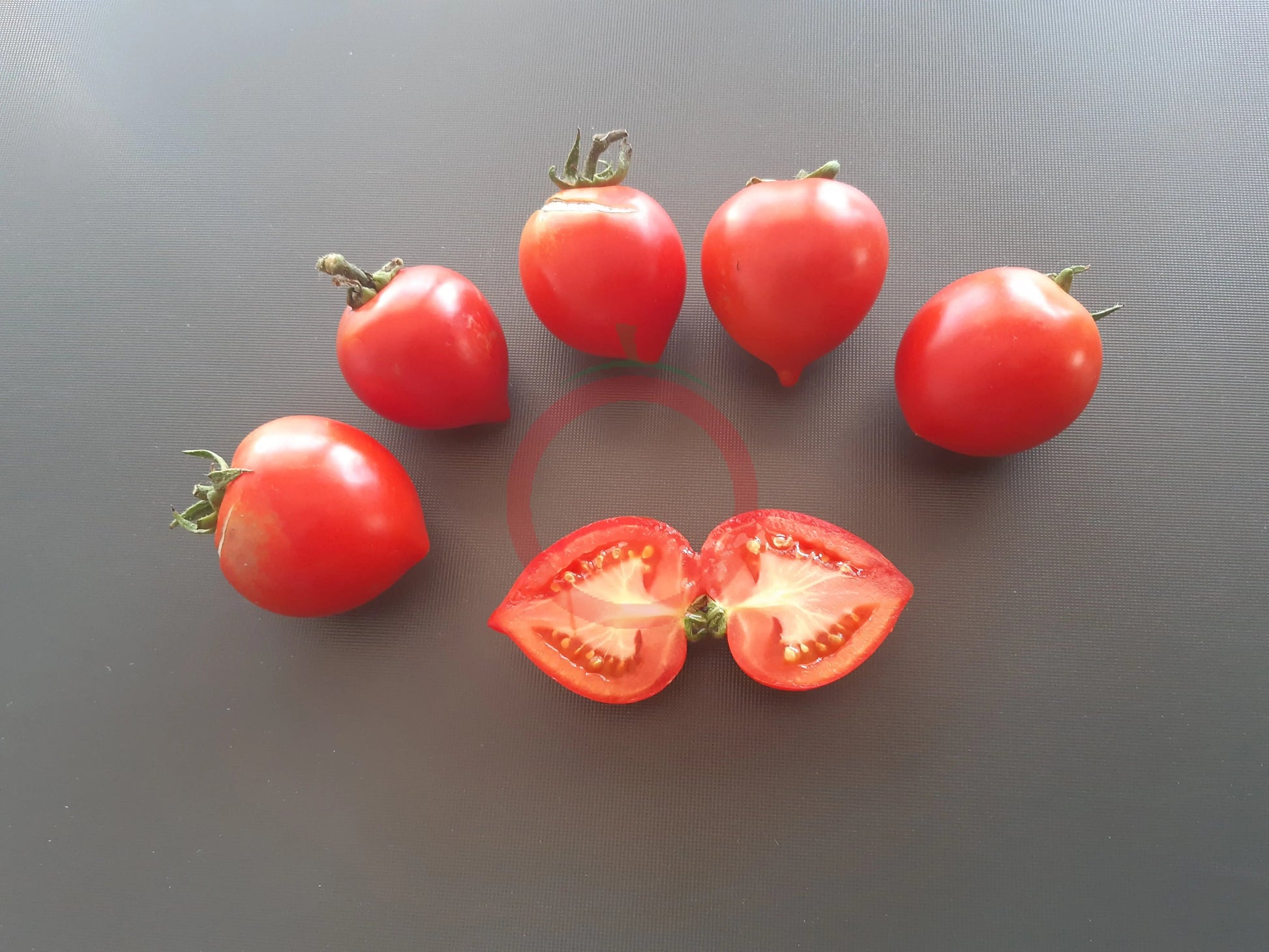 Anna´s Multiflora DER TOMATENFLÜSTERER