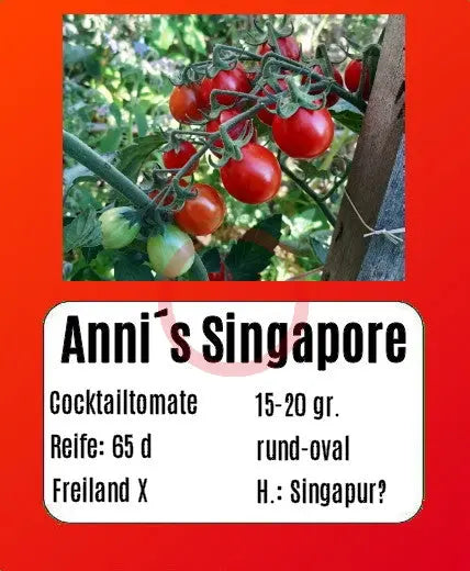 Anni´s Singapore DER TOMATENFLÜSTERER