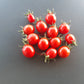 Anni´s Singapore DER TOMATENFLÜSTERER
