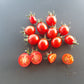 Anni´s Singapore DER TOMATENFLÜSTERER