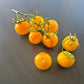 Ansof´s Gule DER TOMATENFLÜSTERER