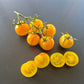 Ansof´s Gule DER TOMATENFLÜSTERER