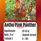 Antho Pink Panther (Kopie) DER TOMATENFLÜSTERER