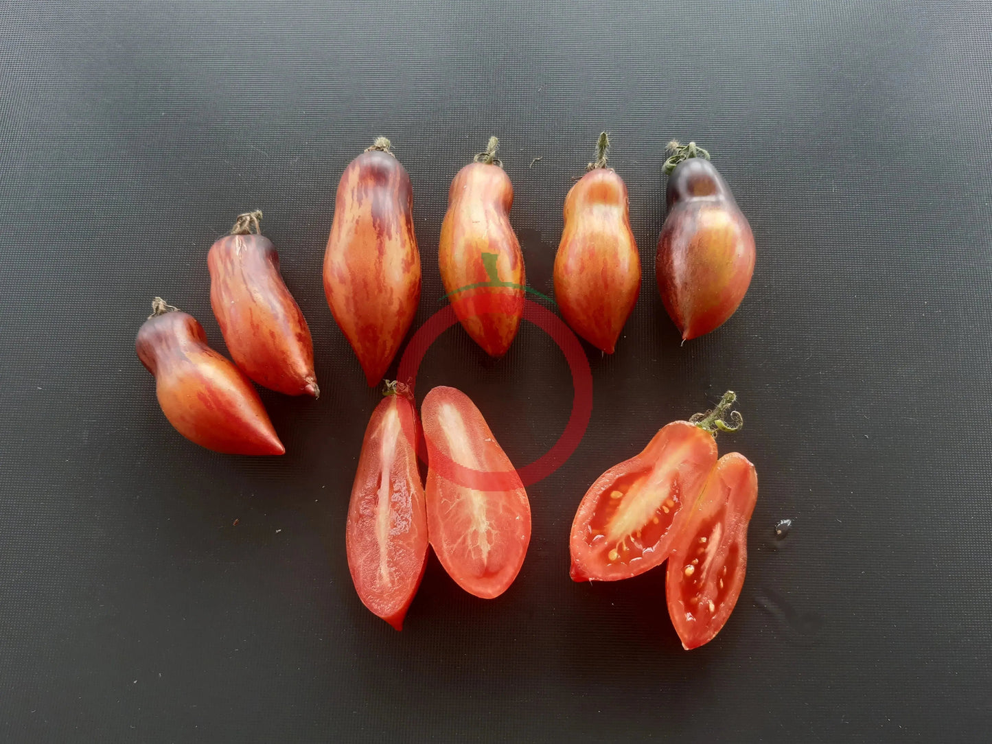 Antho Pink Panther (Kopie) DER TOMATENFLÜSTERER
