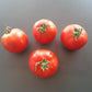 Apfel aus Novi Sad DER TOMATENFLÜSTERER