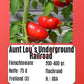 Aunt Lou’s Underground Railroad DER TOMATENFLÜSTERER