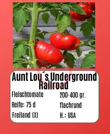 Aunt Lou’s Underground Railroad DER TOMATENFLÜSTERER