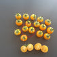 Aunt Ruby´s Yellow Cherry DER TOMATENFLÜSTERER