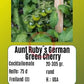 Aunt Rubys German Green Cherry DER TOMATENFLÜSTERER