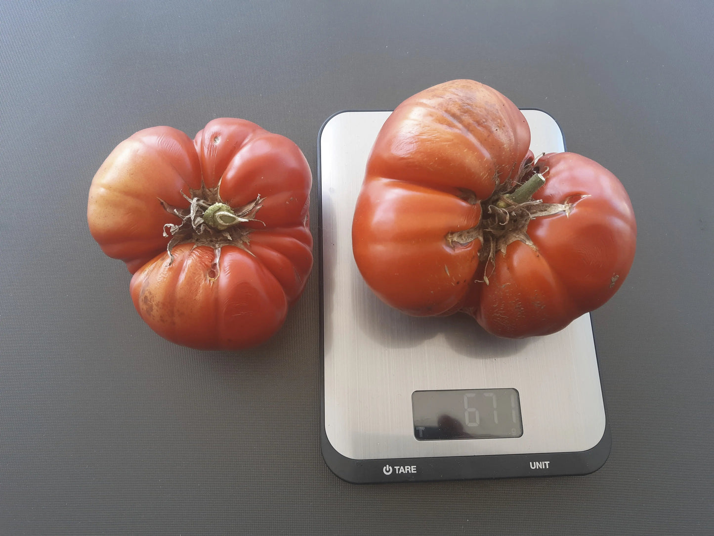 Aussie DER TOMATENFLÜSTERER