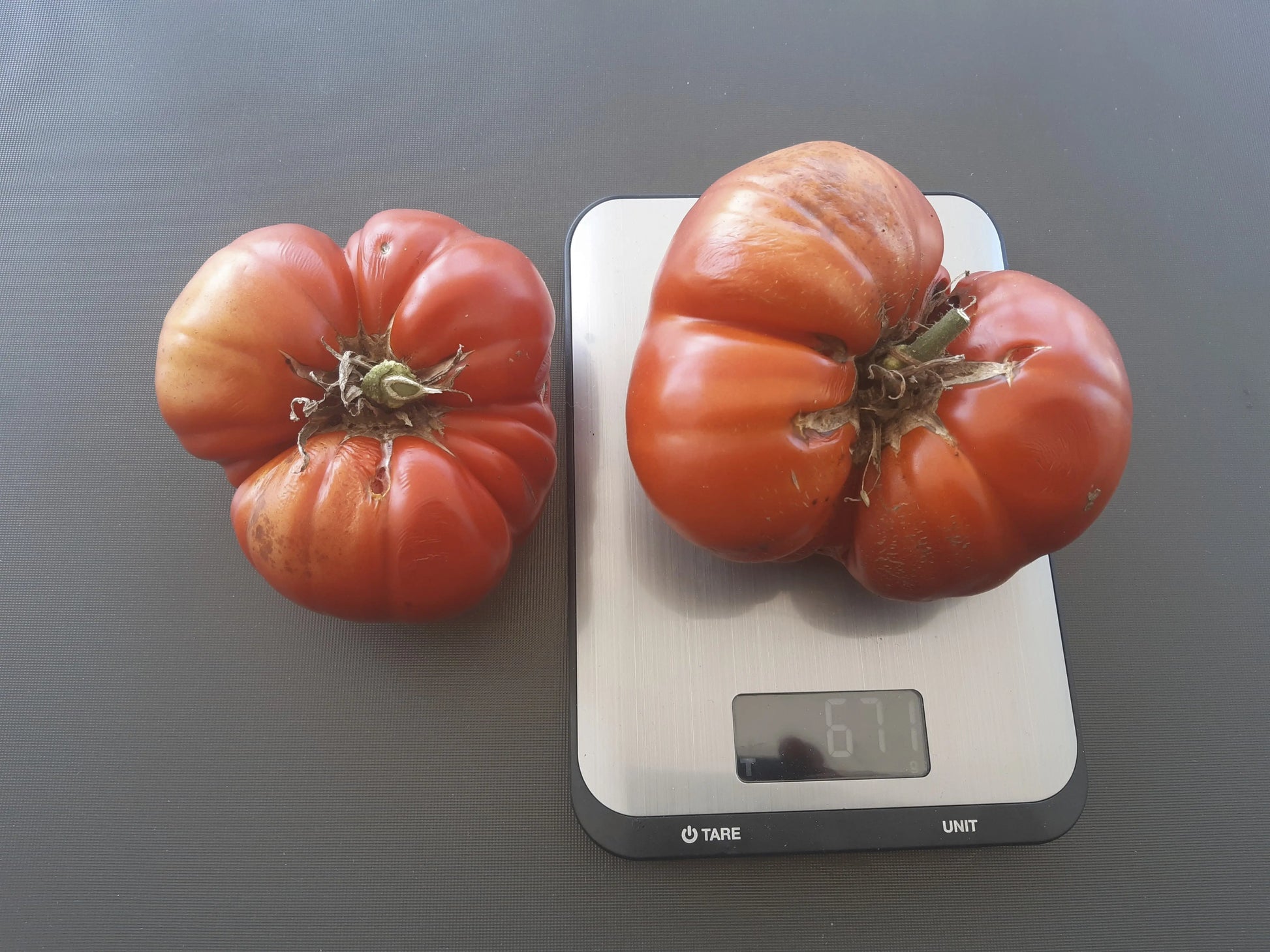 Aussie DER TOMATENFLÜSTERER