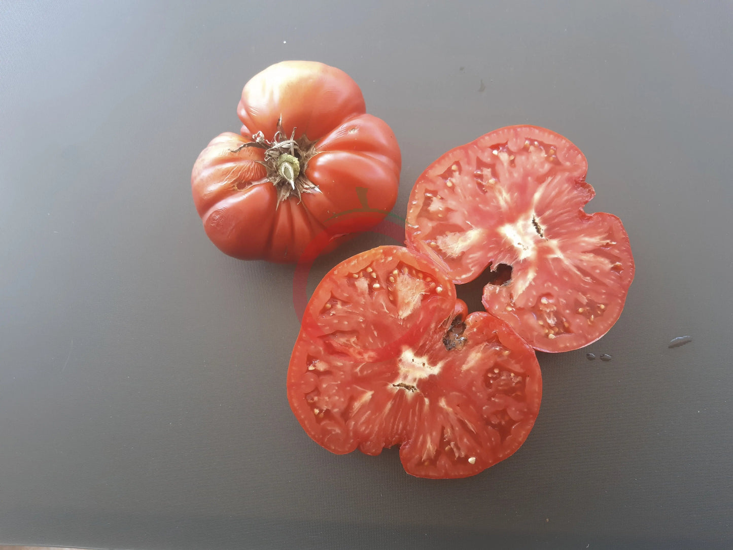 Aussie DER TOMATENFLÜSTERER