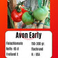 Avon Early DER TOMATENFLÜSTERER