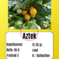 Aztek DER TOMATENFLÜSTERER
