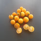 Aztek DER TOMATENFLÜSTERER
