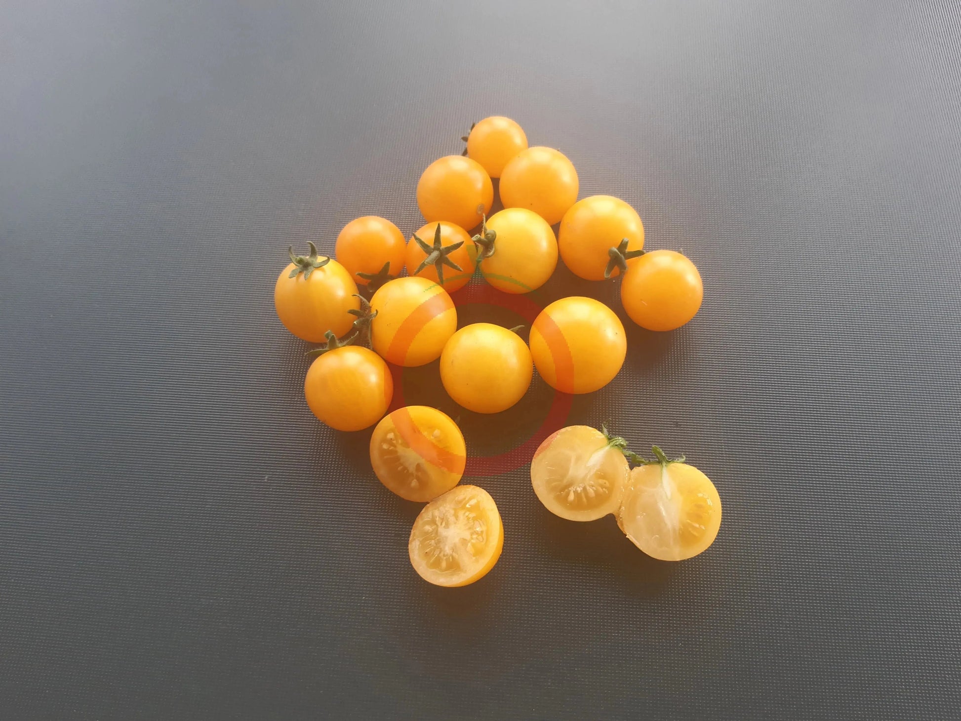 Aztek DER TOMATENFLÜSTERER