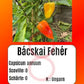 Bácskai Fehér DER TOMATENFLÜSTERER