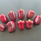 Bagira DER TOMATENFLÜSTERER
