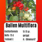 Ballen multiflora DER TOMATENFLÜSTERER