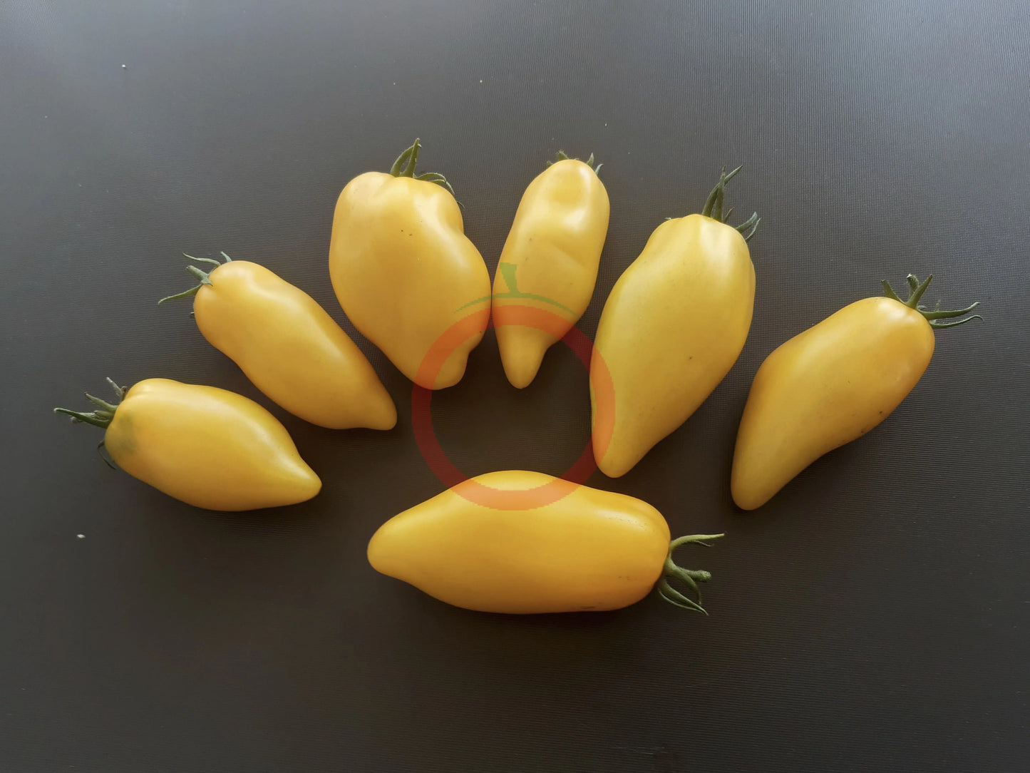 Bananu DER TOMATENFLÜSTERER