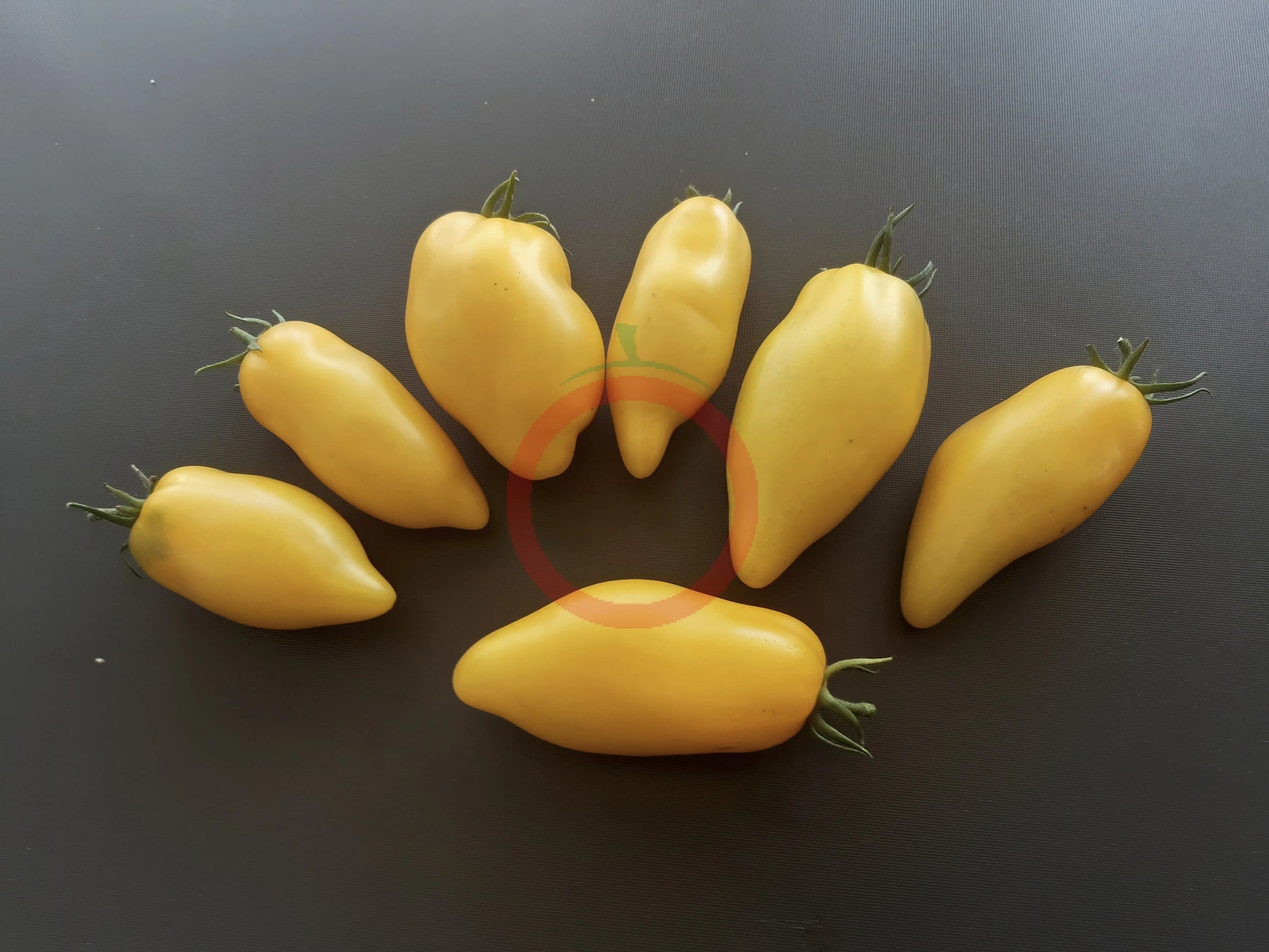 Bananu DER TOMATENFLÜSTERER