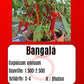 Bangala DER TOMATENFLÜSTERER
