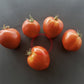 Bangladesh Heart DER TOMATENFLÜSTERER
