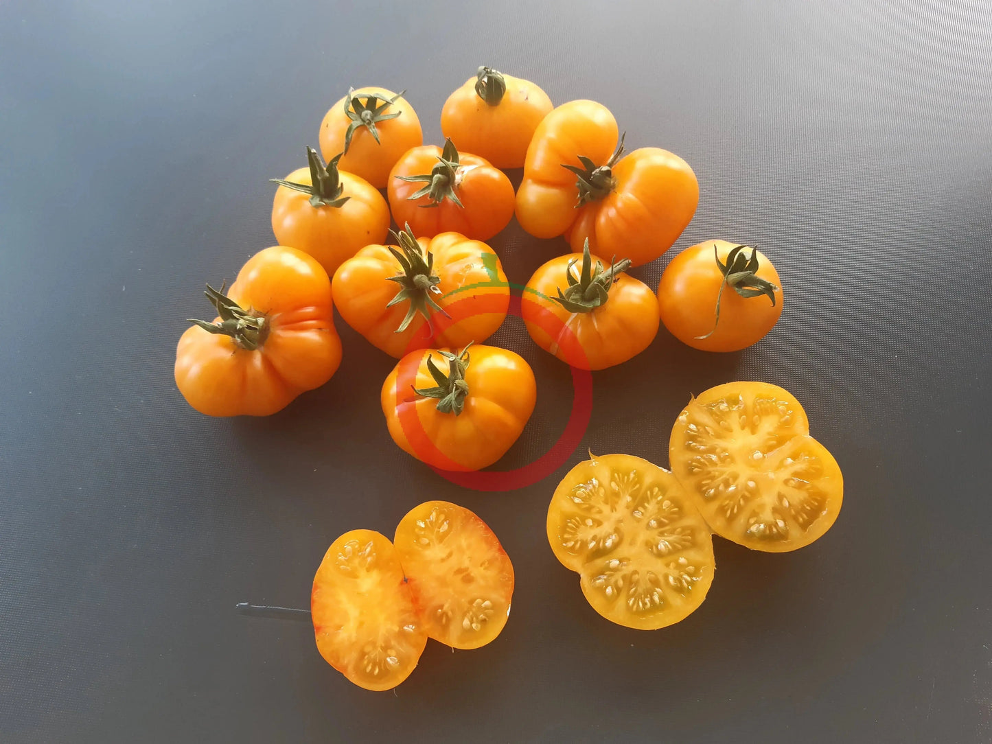 Banjam Rumi DER TOMATENFLÜSTERER
