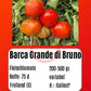 Barca Grande di Bruno DER TOMATENFLÜSTERER