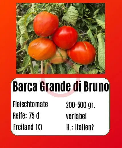 Barca Grande di Bruno DER TOMATENFLÜSTERER