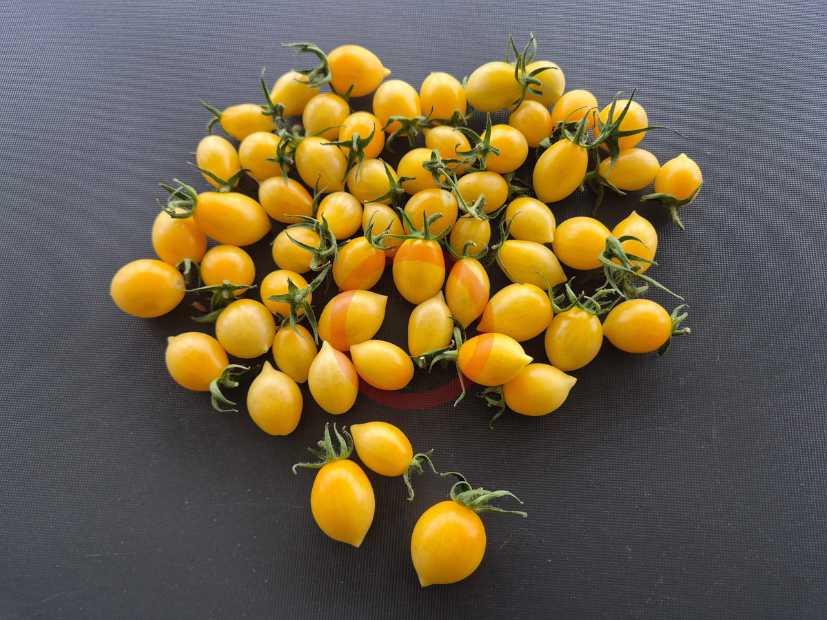Barry's Crazy Cherry DER TOMATENFLÜSTERER
