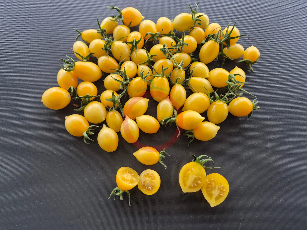 Barry's Crazy Cherry DER TOMATENFLÜSTERER