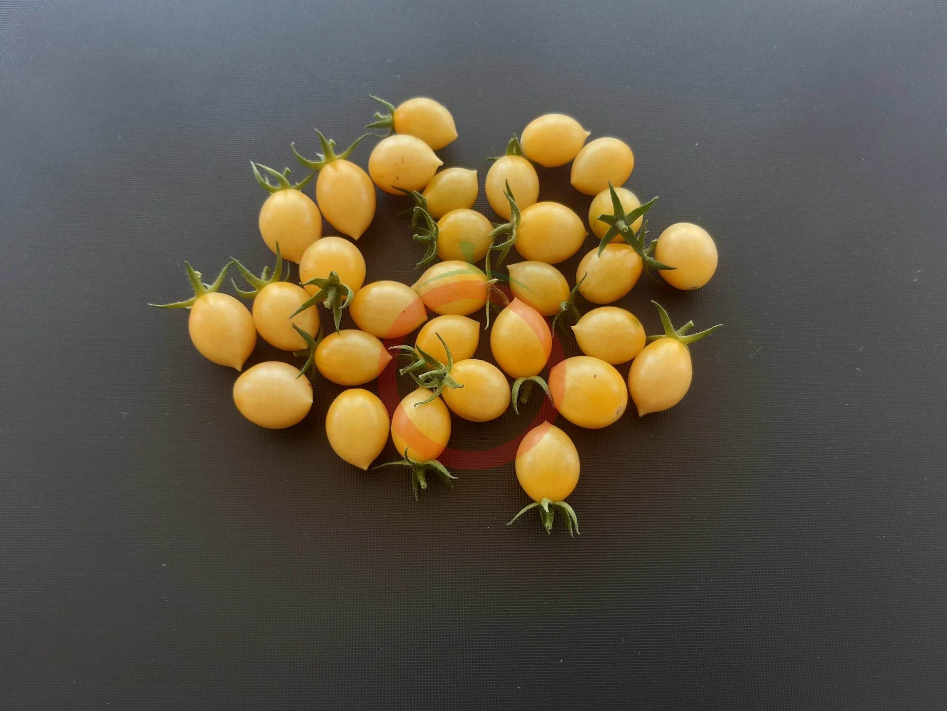 Barry's Crazy Cherry DER TOMATENFLÜSTERER