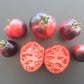 Bartie Blue DER TOMATENFLÜSTERER