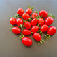 Baselbieter Röteli DER TOMATENFLÜSTERER